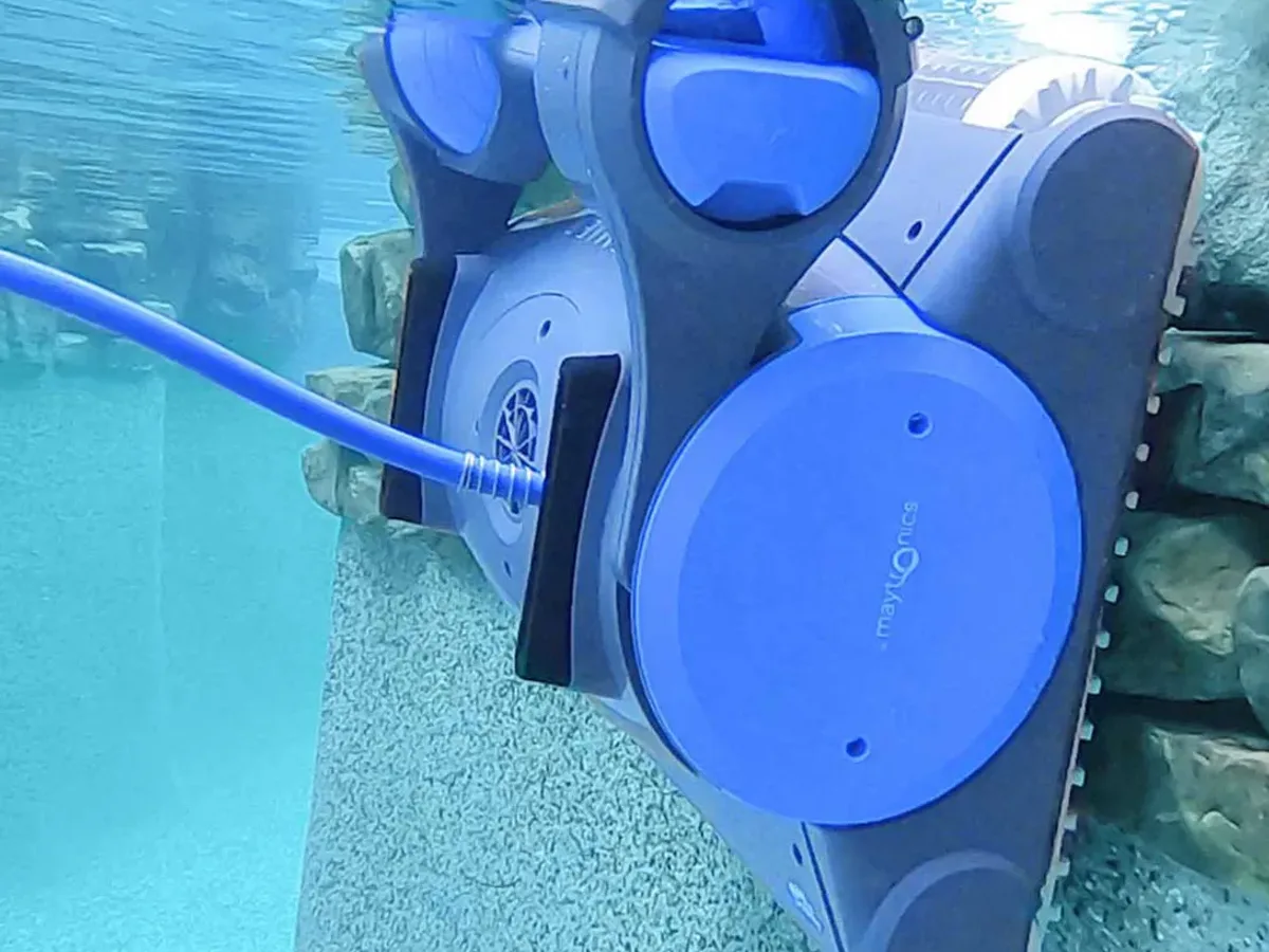 Dolphin Premier
